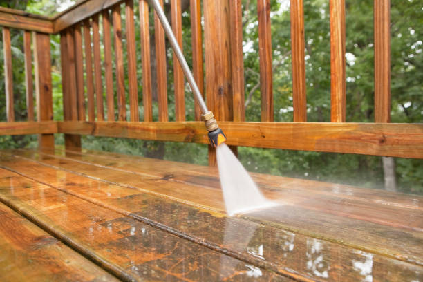 Best Animal Enclosure Cleaning  in Parkston, SD
